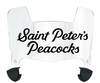 Saint Peters Peacocks Mini Football Helmet Visor Shield w/ Clips - PICK VISOR & LOGO COLOR