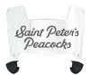 Saint Peters Peacocks Mini Football Helmet Visor Shield w/ Clips - PICK VISOR & LOGO COLOR
