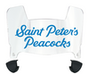 Saint Peters Peacocks Mini Football Helmet Visor Shield w/ Clips - PICK VISOR & LOGO COLOR