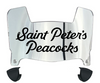 Saint Peters Peacocks Mini Football Helmet Visor Shield w/ Clips - PICK VISOR & LOGO COLOR