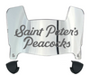 Saint Peters Peacocks Mini Football Helmet Visor Shield w/ Clips - PICK VISOR & LOGO COLOR