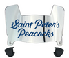 Saint Peters Peacocks Mini Football Helmet Visor Shield w/ Clips - PICK VISOR & LOGO COLOR