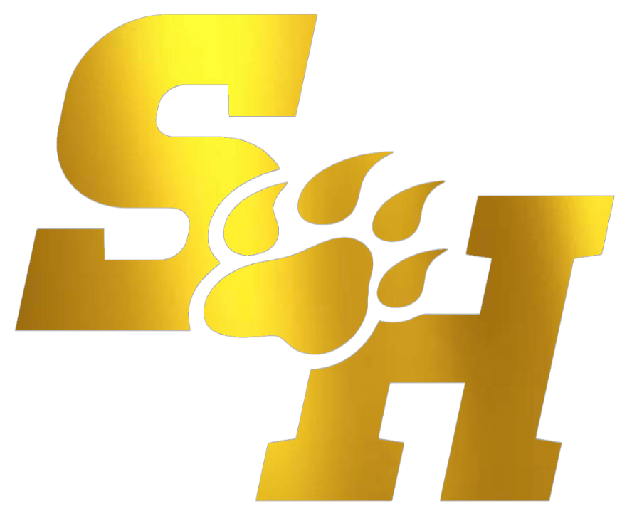 Sam Houston State Bearkats GOLD CHROME MIRROR Team Logo Premium DieCut Vinyl Decal PICK SIZE