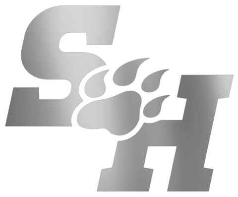 Sam Houston State Bearkats SILVER CHROME MIRROR Team Logo Premium DieCut Vinyl Decal PICK SIZE