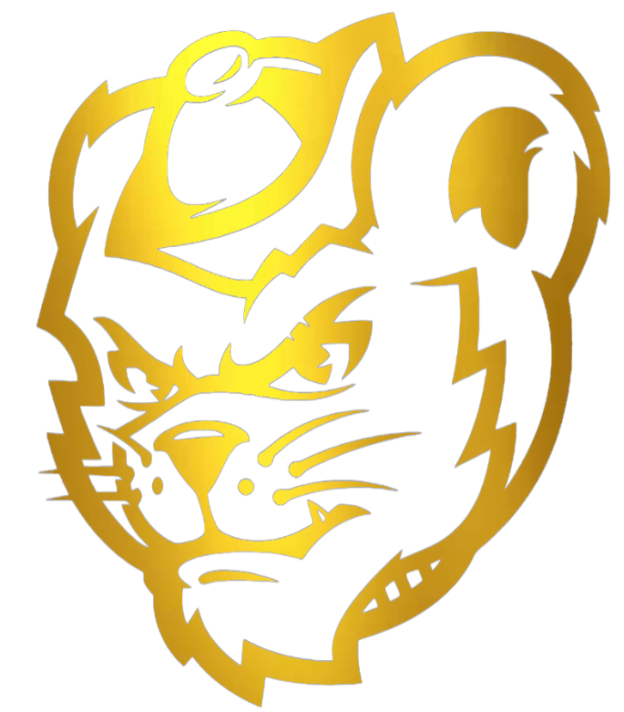 Sam Houston State Bearkats GOLD CHROME MIRROR Mascot Logo Premium DieCut Vinyl Decal PICK SIZE