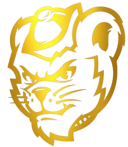 Sam Houston State Bearkats GOLD CHROME MIRROR Mascot Logo Premium DieCut Vinyl Decal PICK SIZE