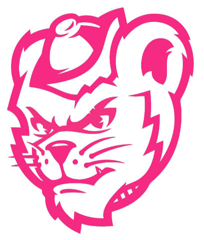 Sam Houston State Bearkats HOT PINK Mascot Logo Premium DieCut Vinyl Decal PICK SIZE