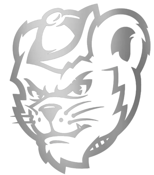 Sam Houston State Bearkats SILVER CHROME MIRROR Mascot Logo Premium DieCut Vinyl Decal PICK SIZE