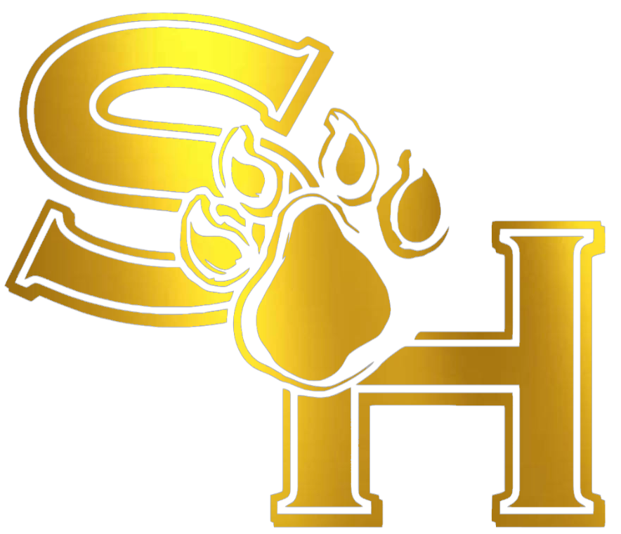 Sam Houston State Bearkats GOLD CHROME MIRROR Retro Throwback Logo Premium DieCut Vinyl Decal PICK SIZE