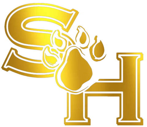 Sam Houston State Bearkats GOLD CHROME MIRROR Retro Throwback Logo Premium DieCut Vinyl Decal PICK SIZE