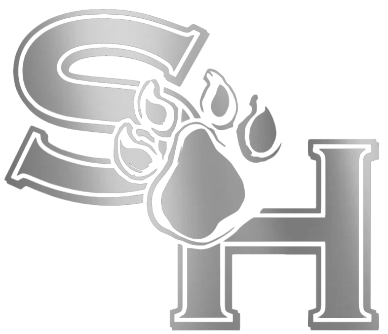 Sam Houston State Bearkats SILVER CHROME MIRROR Retro Throwback Logo Premium DieCut Vinyl Decal PICK SIZE