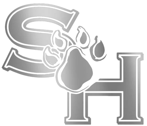 Sam Houston State Bearkats SILVER CHROME MIRROR Retro Throwback Logo Premium DieCut Vinyl Decal PICK SIZE