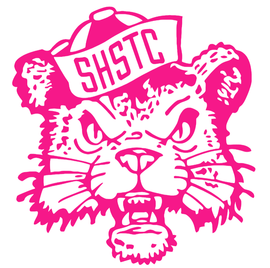 Sam Houston State Bearkats Hot Pink Retro Throwback Logo Premium DieCut Vinyl Decal PICK SIZE