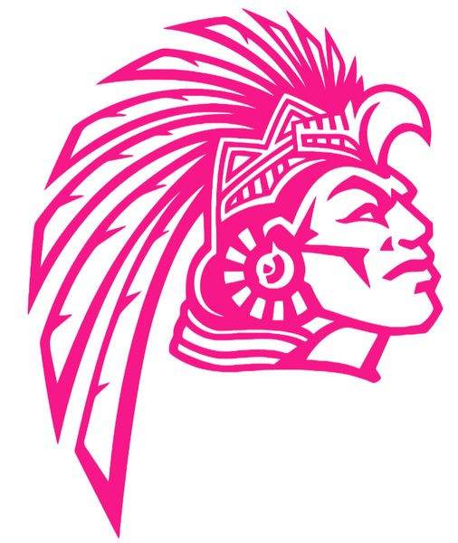 San Diego State Aztecs Hot Pink Retro Throwback Logo Premium DieCut Vinyl Decal PICK SIZE