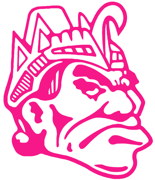 San Diego State Aztecs Hot Pink Retro Throwback Logo Premium DieCut Vinyl Decal PICK SIZE
