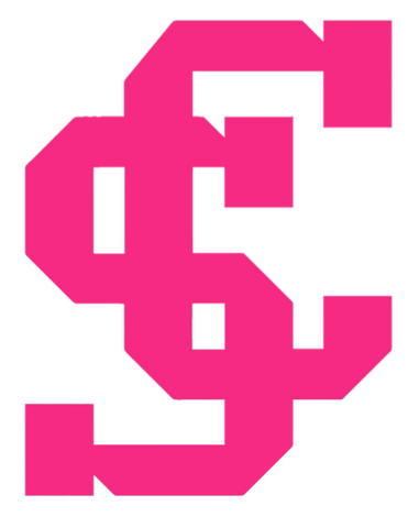 Santa Clara Broncos HOT PINK Team Logo Premium DieCut Vinyl Decal PICK SIZE
