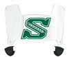 Saskatchewan Roughriders Mini Football Helmet Visor Shield w/ Clips - PICK VISOR & LOGO COLOR
