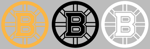Boston Bruins Team Logo Premium DieCut Vinyl Decal PICK COLOR & SIZE
