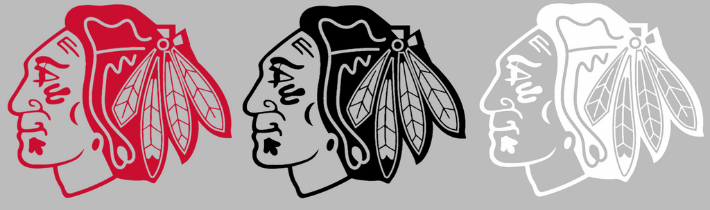 Chicago Blackhawks Team Logo Premium DieCut Vinyl Decal PICK COLOR & SIZE