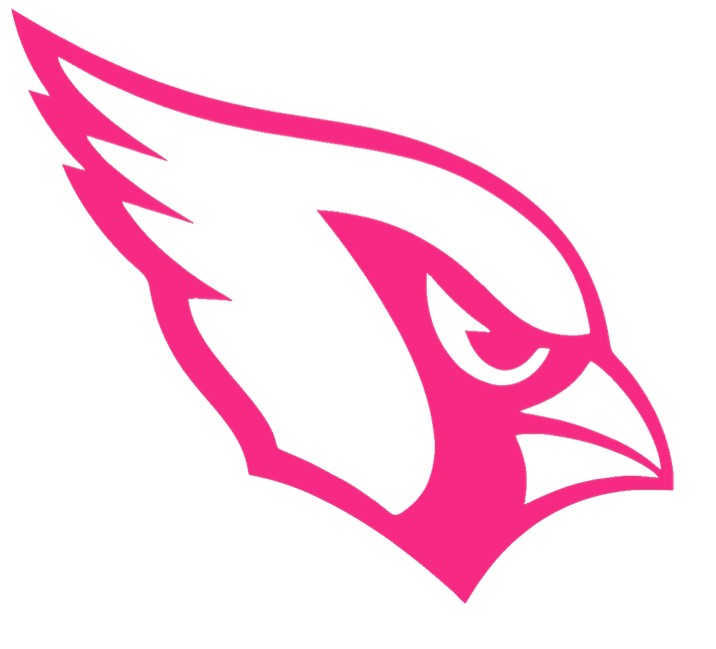 Arizona Cardinals HOT PINK Team Logo Premium DieCut Vinyl Decal PICK SIZE