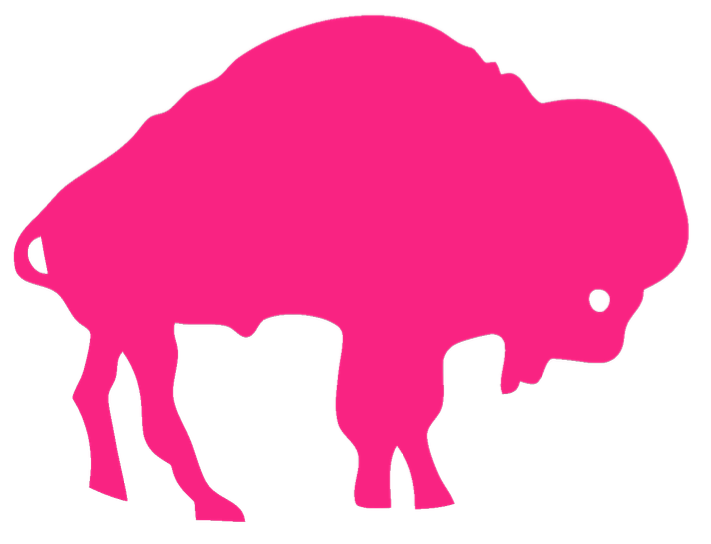 Buffalo Bills Retro Throwback Hot Pink Breast Cancer Awareness Premium DieCut Vinyl Decal PICK SIZE