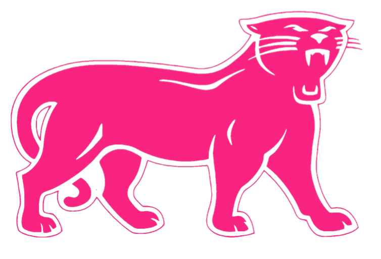 Carolina Panthers Retro Throwback Hot Pink Breast Cancer Awareness Premium DieCut Vinyl Decal PICK SIZE