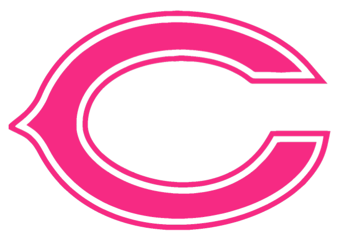 Chicago Bears Hot Pink Breast Cancer Awareness Premium DieCut Vinyl Decal PICK SIZE