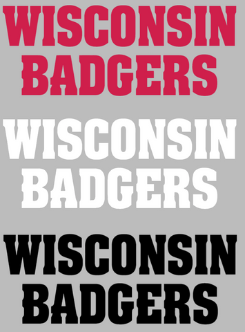 Wisconsin Badgers Team Name Logo Premium DieCut Vinyl Decal PICK COLOR & SIZE