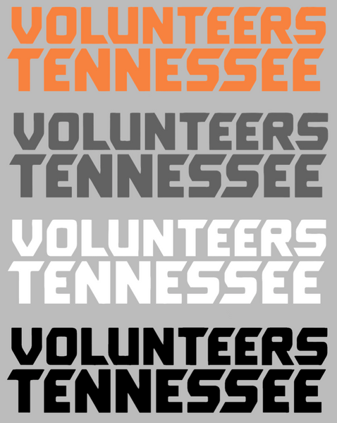 Tennessee Volunteers Team Name Logo Premium DieCut Vinyl Decal PICK COLOR & SIZE