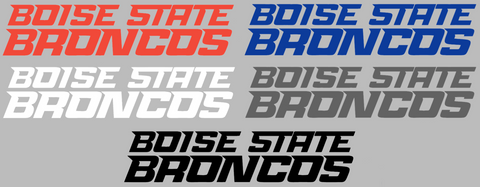 Boise State Broncos Team Name Logo Premium DieCut Vinyl Decal PICK COLOR & SIZE