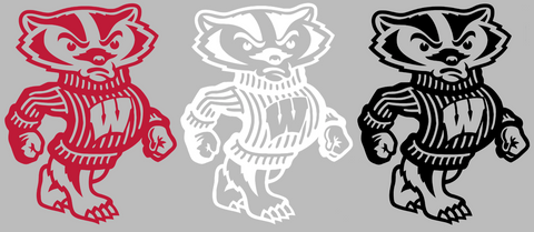 Wisconsin Badgers Bucky Badger Premium DieCut Vinyl Decal PICK COLOR & SIZE