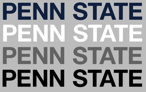 Penn State Nittany Lions Team Name Logo Premium DieCut Vinyl Decal PICK COLOR & SIZE