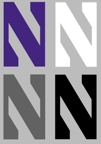 Northwestern Wildcats Team Logo Premium DieCut Vinyl Decal PICK COLOR & SIZE