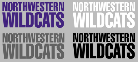 Northwestern Wildcats Team Name Logo Premium DieCut Vinyl Decal PICK COLOR & SIZE