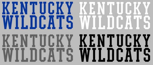Kentucky Wildcats Team Name Logo Premium DieCut Vinyl Decal PICK COLOR & SIZE