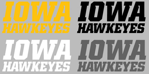Iowa Hawkeyes Team Name Logo Premium DieCut Vinyl Decal PICK COLOR & SIZE