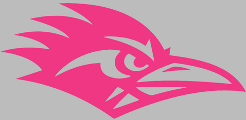 Texas San Antonio Roadrunners HOT PINK Team Logo Premium DieCut Vinyl Decal PICK SIZE