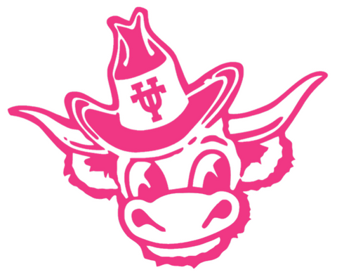 Texas Longhorns Bevo Mascot HOT PINK Team Logo Premium DieCut Vinyl Decal PICK SIZE