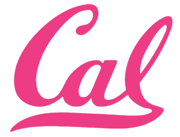 Cal California Bears HOT PINK Team Logo Premium DieCut Vinyl Decal PICK SIZE