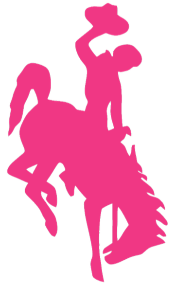 Wyoming Cowboys HOT PINK Team Logo Premium DieCut Vinyl Decal PICK SIZE