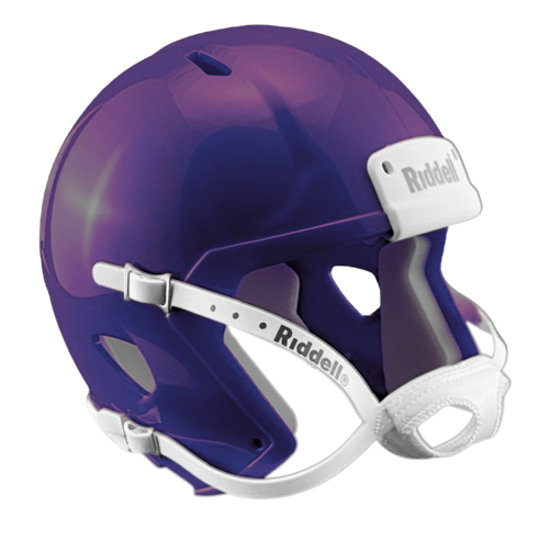 Purple Custom Riddell Speed Mini Football Helmet Blank Shell