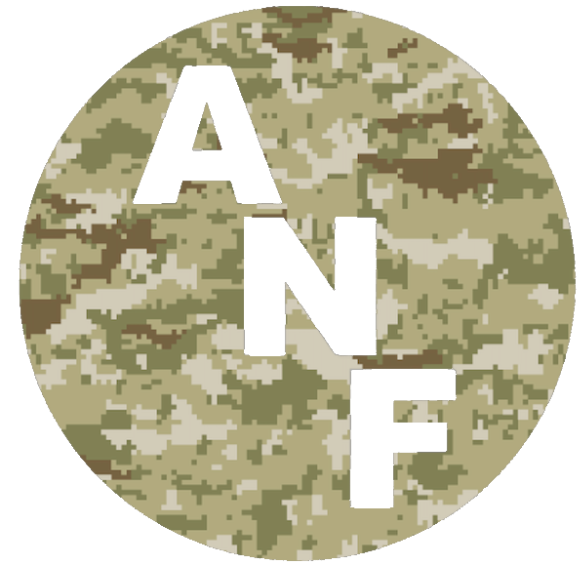 Iowa Hawkeyes ANF Circle Logo Salute to Service Camouflage Camo Vinyl Decal PICK SIZE