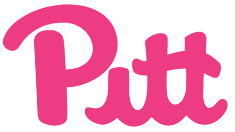 Pittsburgh Panthers HOT PINK Team Logo Premium DieCut Vinyl Decal PICK SIZE