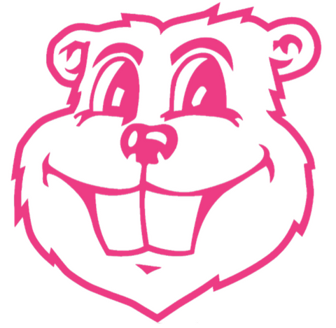 Minnesota Golden Gophers HOT PINK Goldy Mascot Logo Premium DieCut Vinyl Decal PICK SIZE