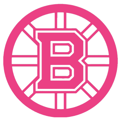 Boston Bruins HOT PINK Team Logo Premium DieCut Vinyl Decal PICK SIZE