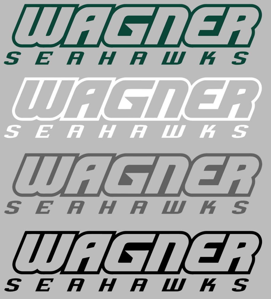 Wagner Seahawks Team Name Logo Premium DieCut Vinyl Decal PICK COLOR & SIZE