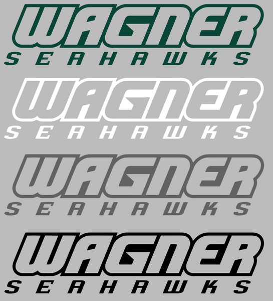 Wagner Seahawks Team Name Logo Premium DieCut Vinyl Decal PICK COLOR & SIZE