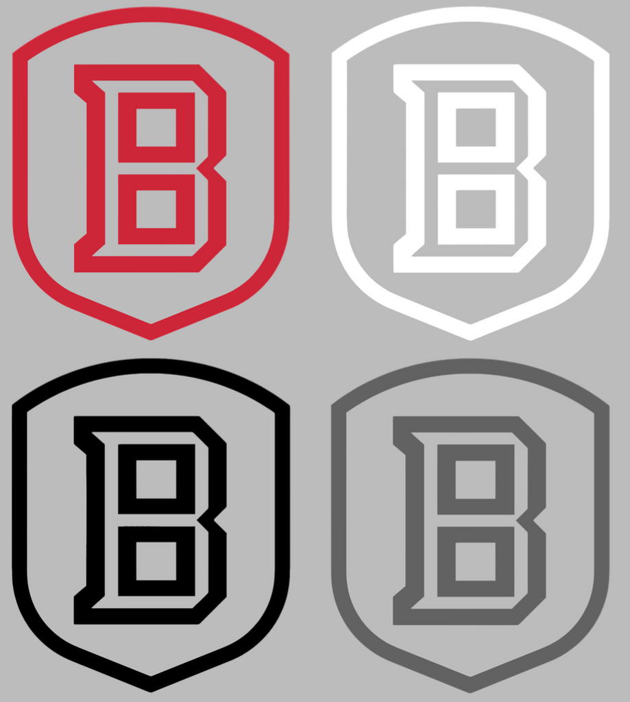 Bradley Braves Team Logo Premium DieCut Vinyl Decal PICK COLOR & SIZE