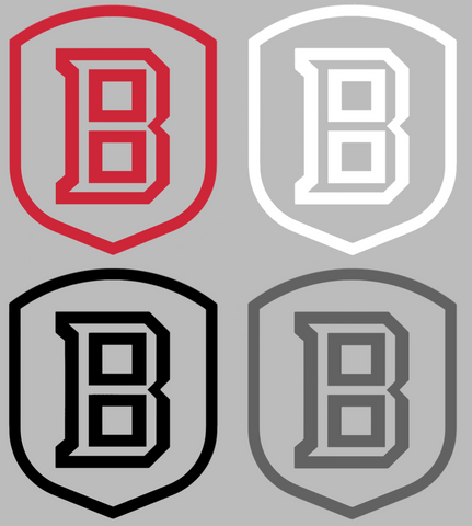 Bradley Braves Team Logo Premium DieCut Vinyl Decal PICK COLOR & SIZE