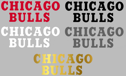 Chicago Bulls Team Name Logo Premium DieCut Vinyl Decal PICK COLOR & SIZE